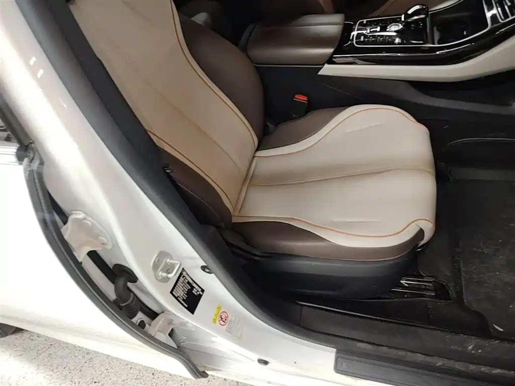 BYD Qin PLUS 2023 Champion Edition EV 510KM Leading Type фото 25