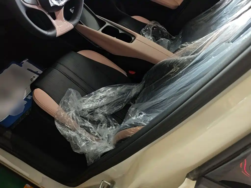 BYD Seagull 2026 2025 Smart Drive Edition 305km Vitality Version