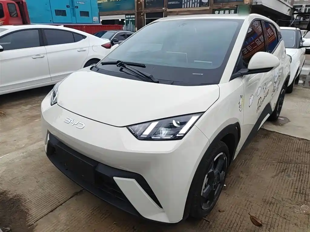 BYD Seagull 2024 Glory Edition 305km Freedom Edition