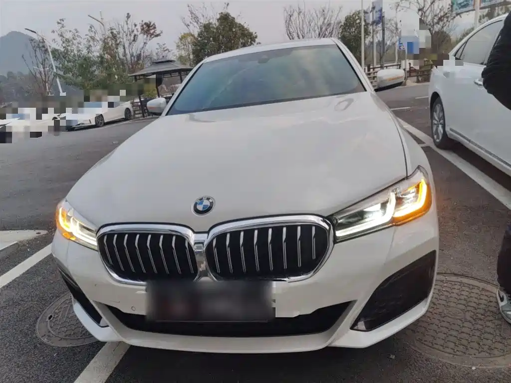 BMW 5 Series 2021 Facelift 525Li M Sport Package фото 19