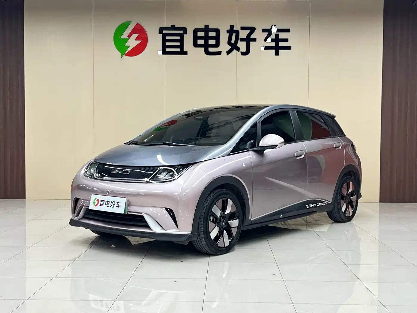 BYD Dolphin 2021 401km Knight Edition