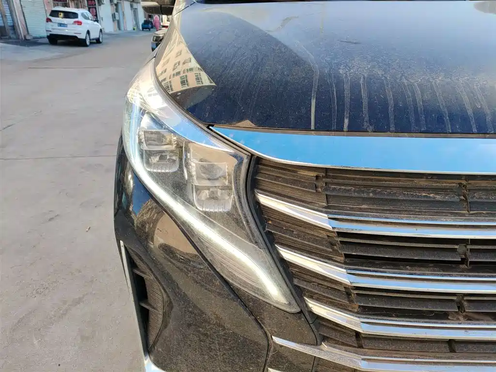 GAC Trumpchi Trumpchi M8 2023 Leading Series 390T Premium Edition фото 24