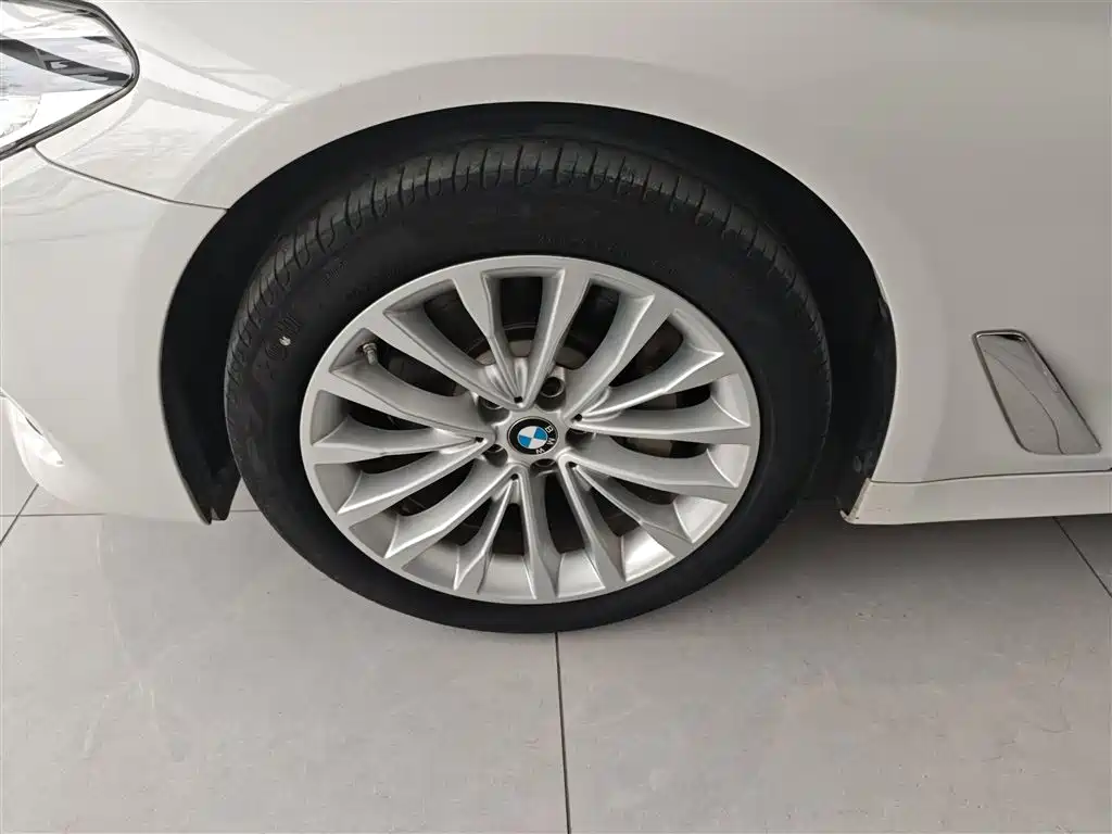 BMW 5 Series 2020 530Li Leading Luxury Package фото 25