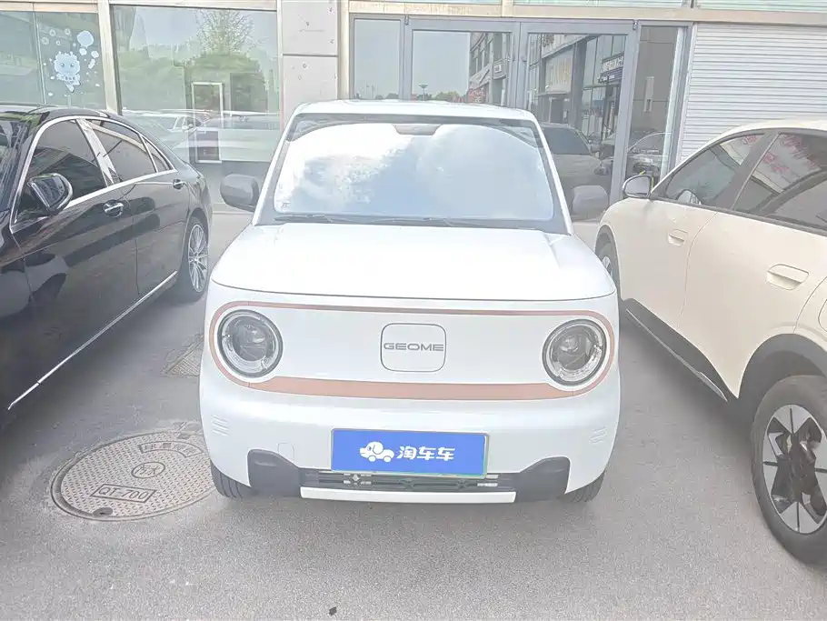 Geely Galaxy Panda 2024 Panda mini 200km Endurance Bear фото 2