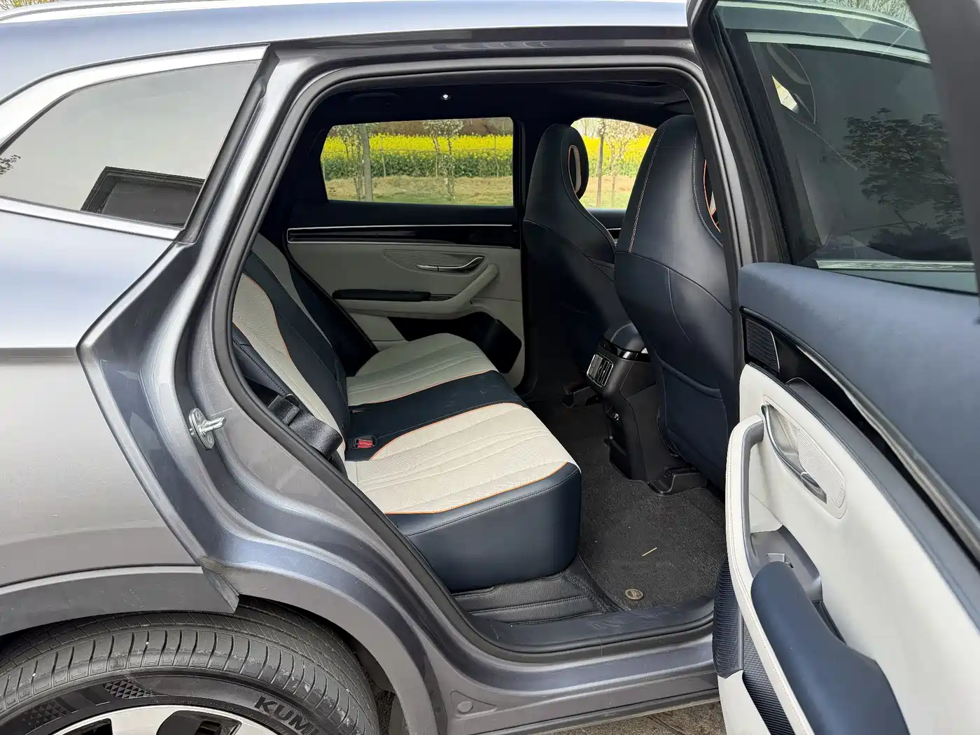 BYD SONGJIANG NEW ENERGY