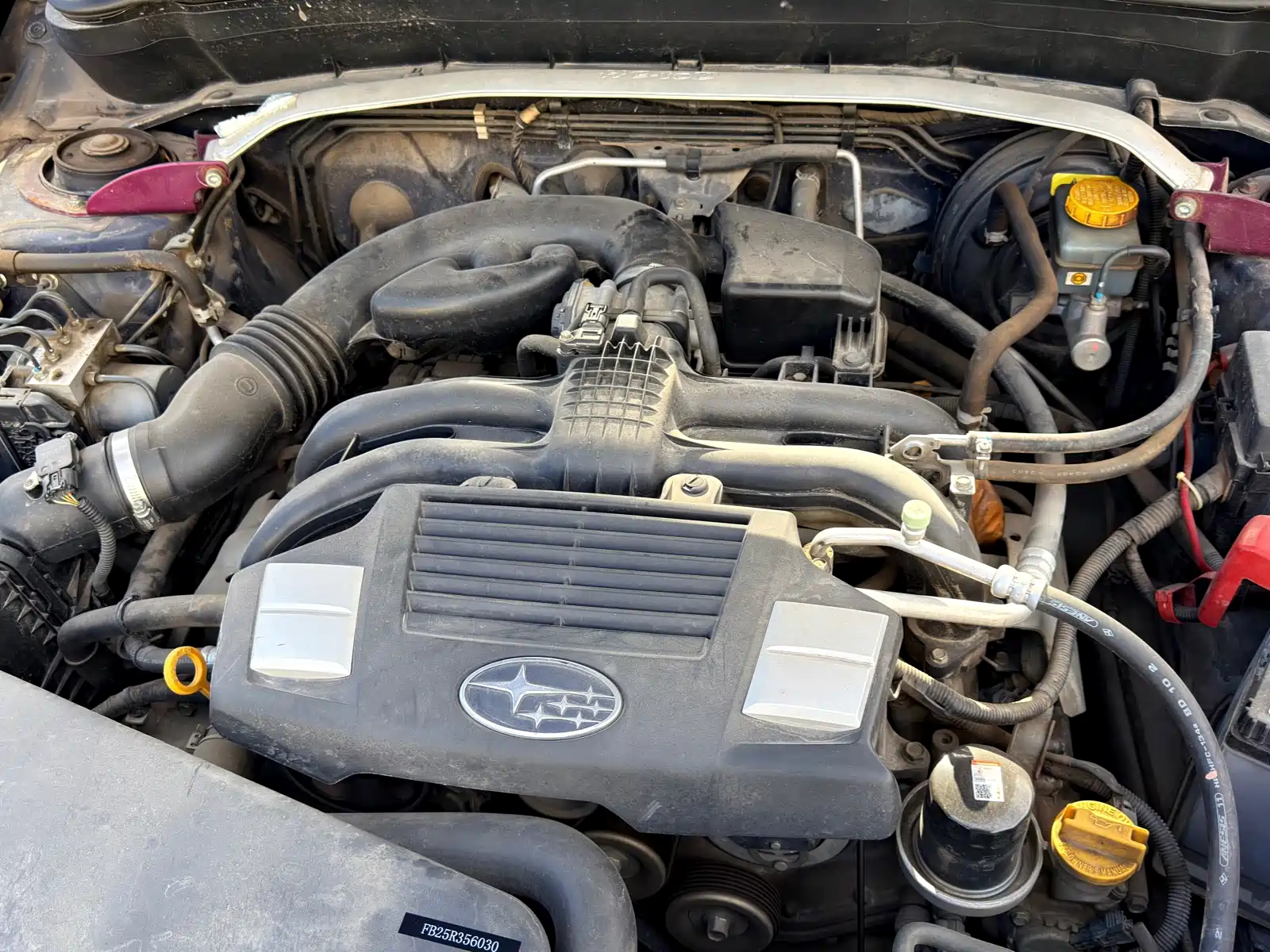 Photo 11 - Subaru Forester