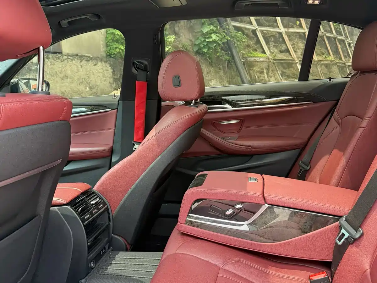BMW 5 Series 2020 530Li Leading M Sport Package фото 5