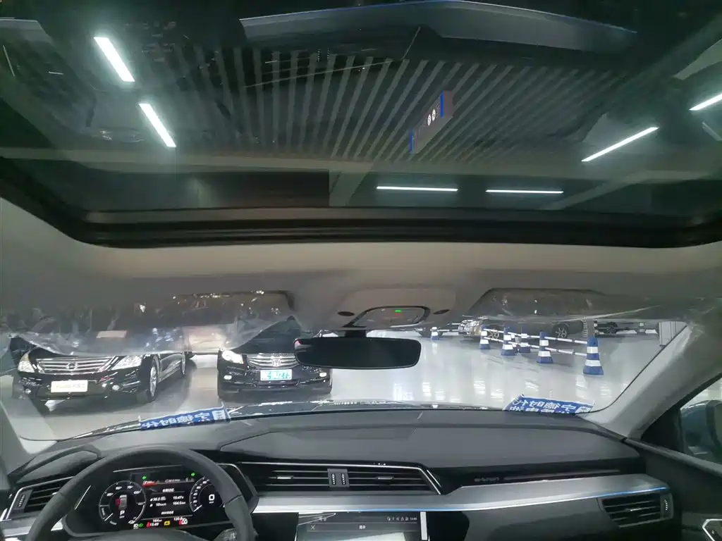 Audi e-tron 2021 50 quattro Luxury фото 15