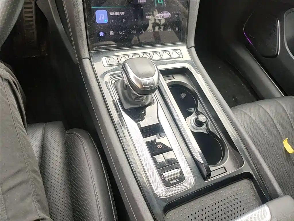 Hongqi H5 2024 2.0T Automatic Smart Connect Flag Smooth Edition фото 14