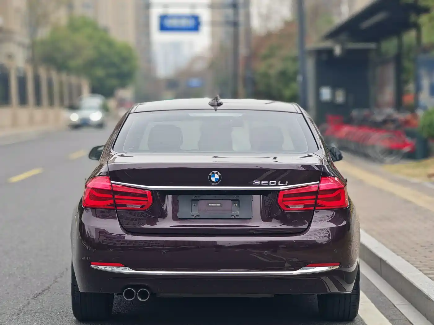 BMW 3 Series 2017 320Li Luxury Design Package фото 20