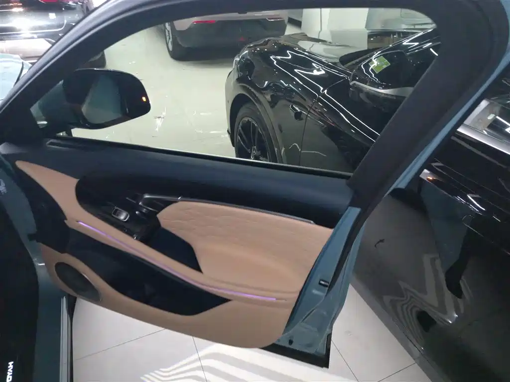 Voyah Auto VOYAH FREE 2021 AWD Standard Range Extender Exclusive Luxury Package фото 15