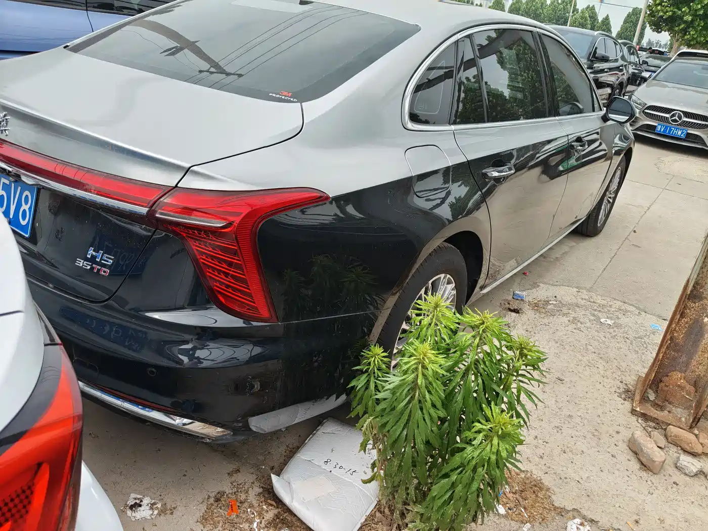 Hongqi H5 2024 1.5T DCT Smart Connect Flag Rhythm Edition фото 8