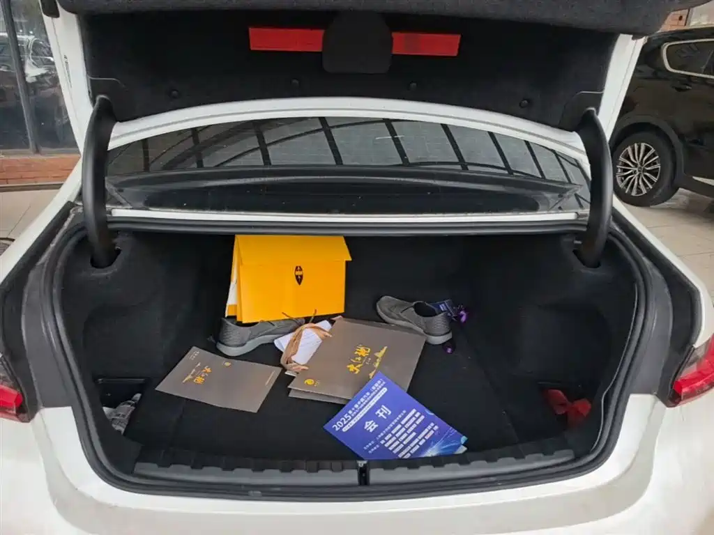 BMW 3 Series 2024 320Li M Sport Package фото 19