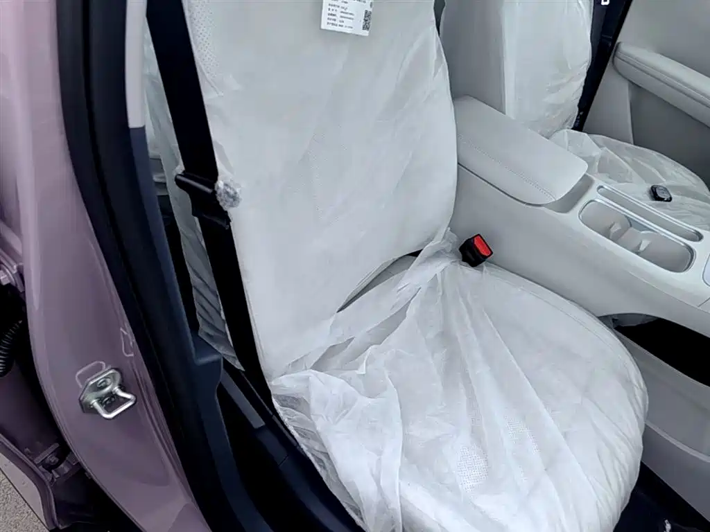 Geely Galaxy Starry Wish 2026 Edition 310km Youth Version фото 25