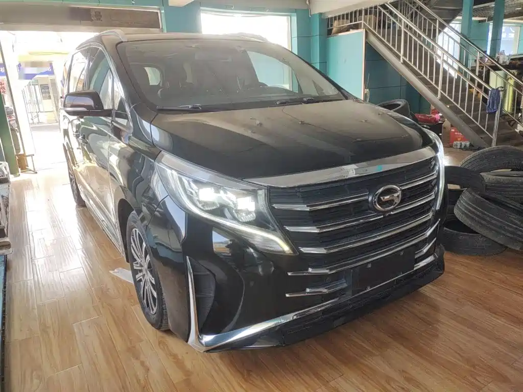 GAC Trumpchi Trumpchi M8 2021 Leading Show Series 390T Prestige Edition фото 4
