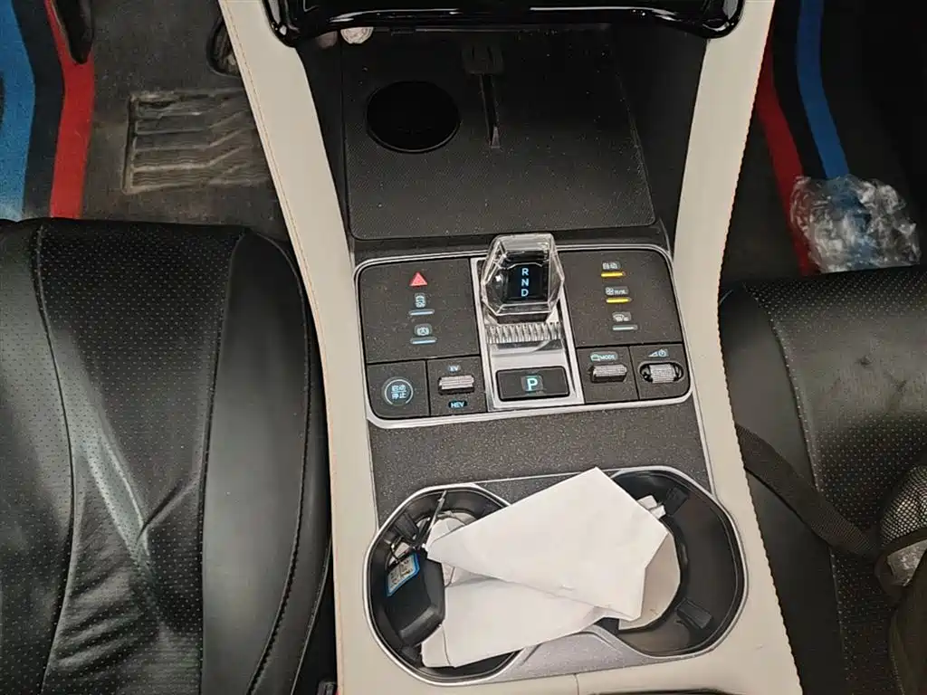 BYD Song PLUS PHEV 2024 Glory Edition DM-i 110km Flagship фото 14