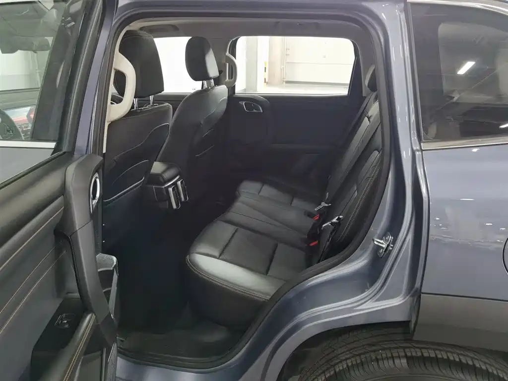 Haval Big Dog 2024 1.5T DCT Border Collie Edition фото 15