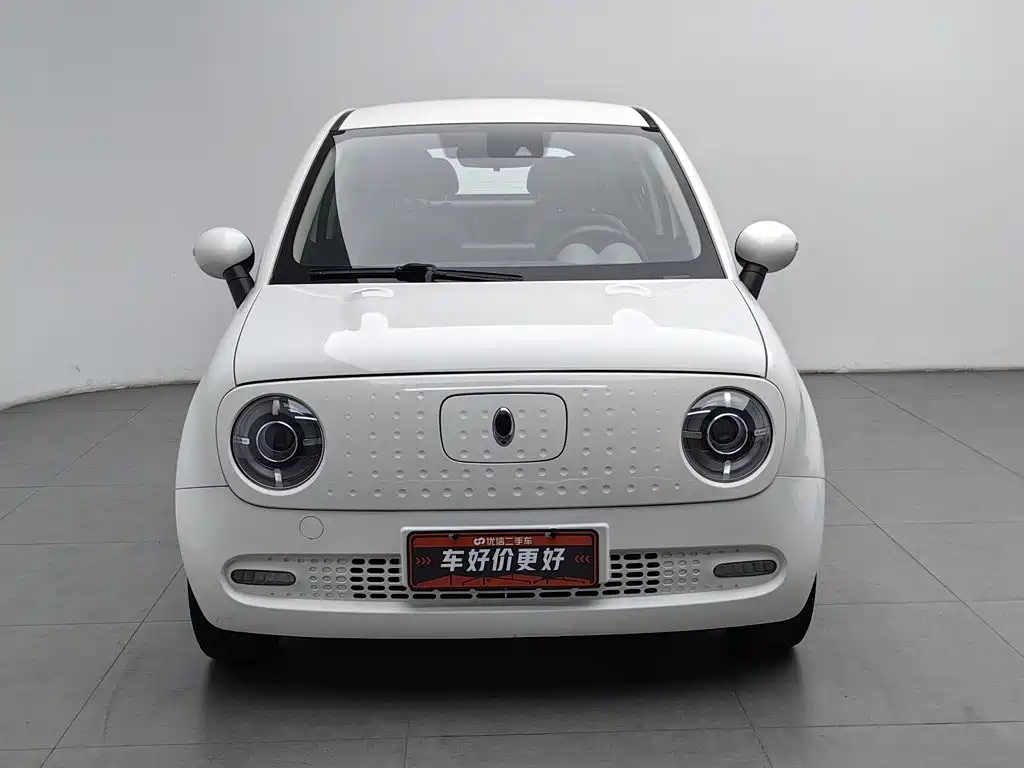 Ora Black Cat 2020 2021 351km Luxury Model