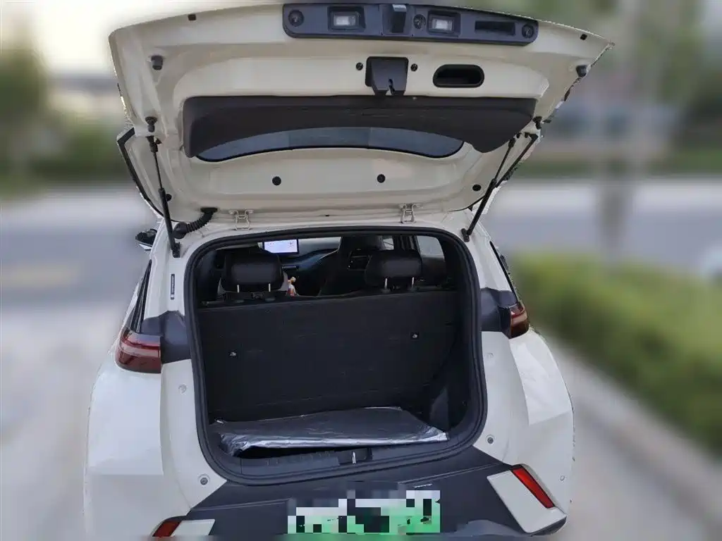BYD Seagull 2024 Glory Edition 305km Vitality Edition фото 10