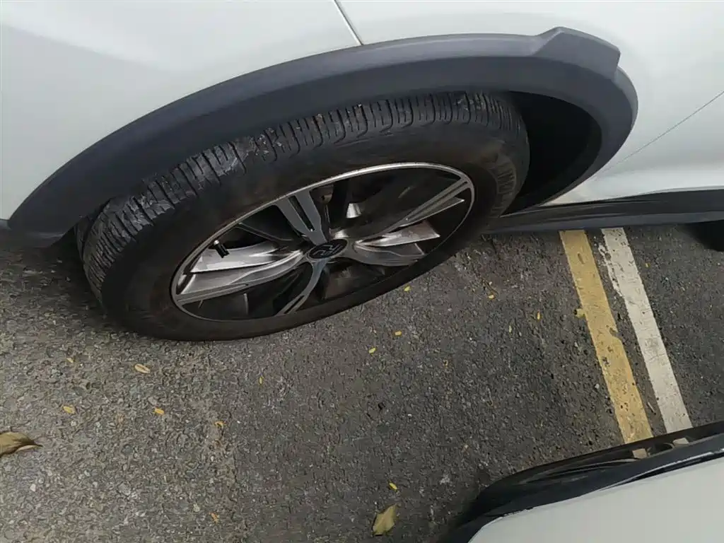 BYD Yuan New Energy 2019 EV535 High Energy Navigation Edition фото 23