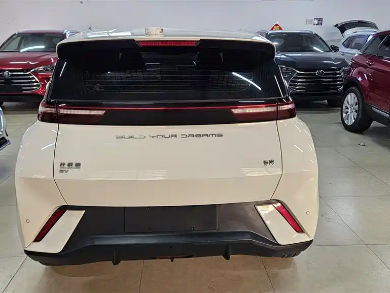 BYD Seagull 2023 Flying Edition фото 30