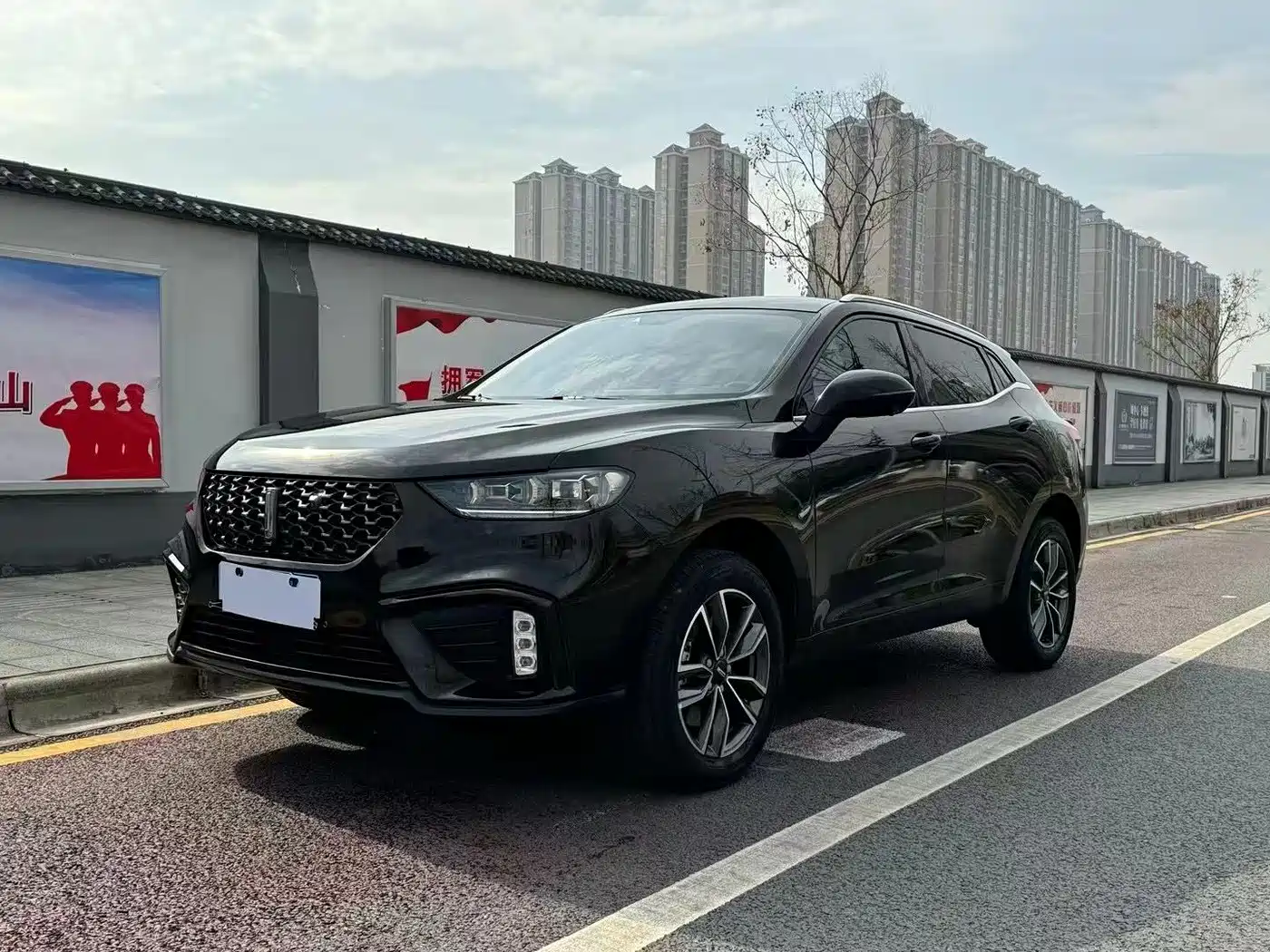 WEI PAI WEI BRAND VV5