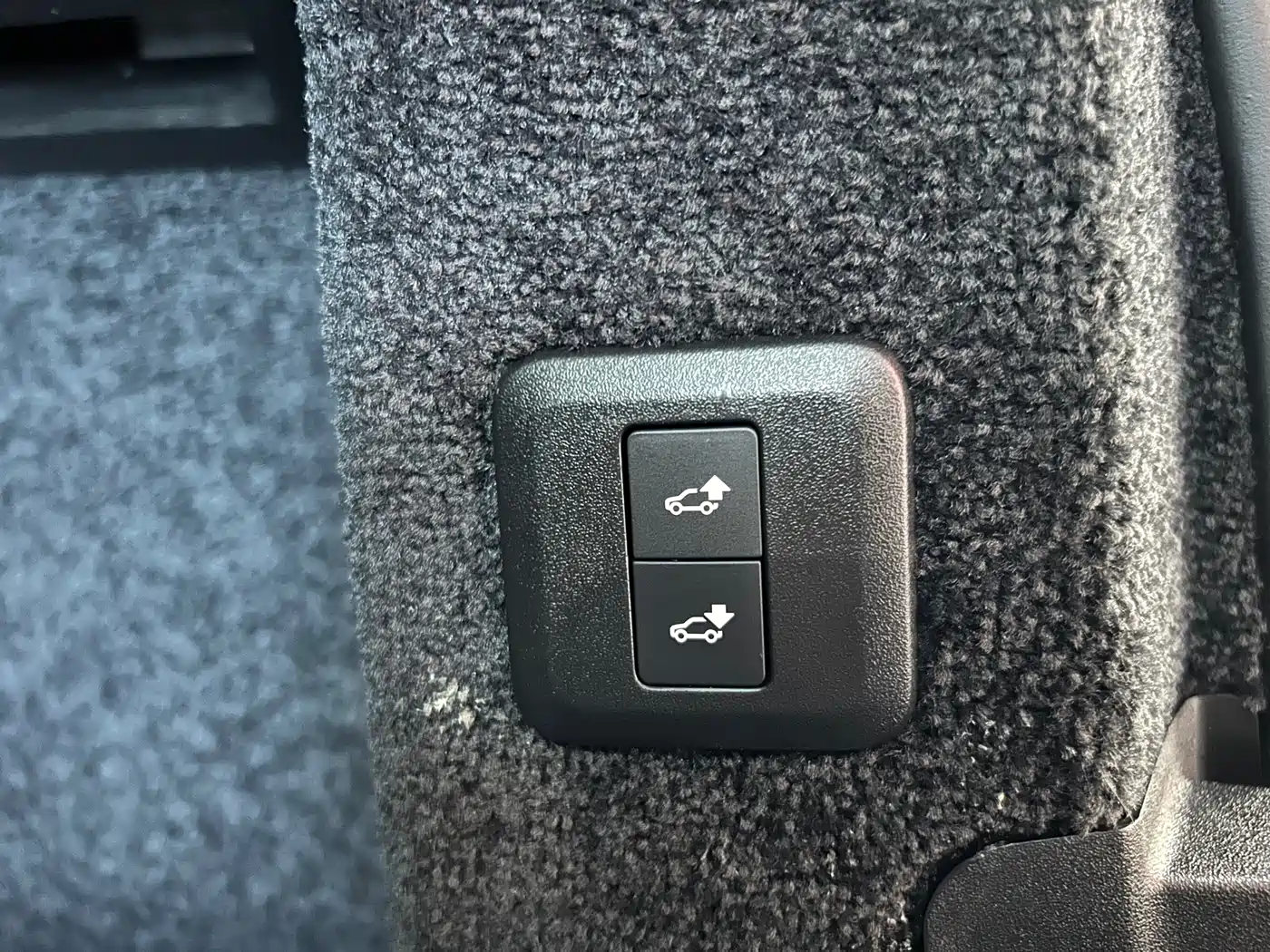 Land Rover Range Rover 2019 3.0 SC V6 Golden Age Edition фото 46