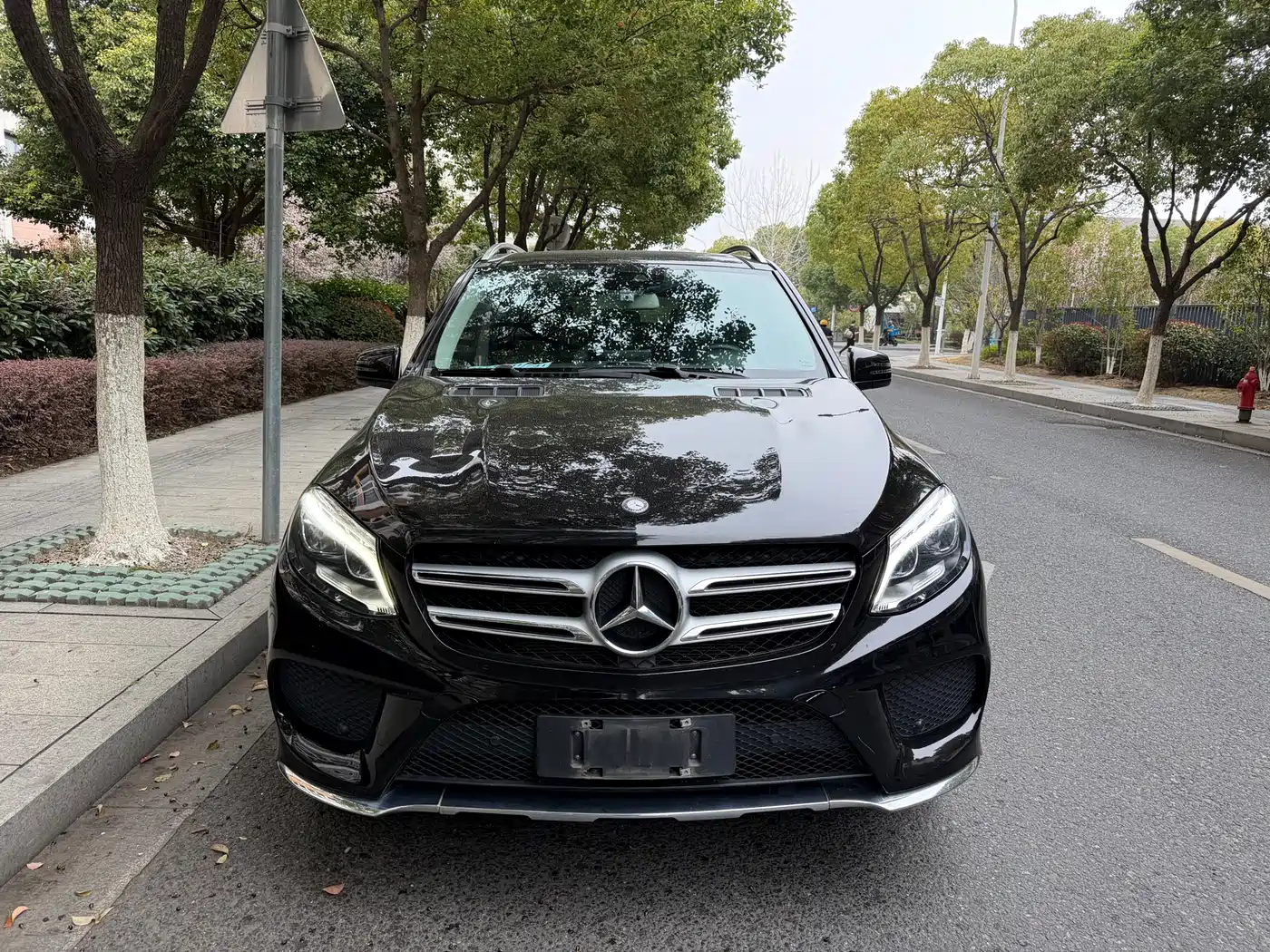 Mercedes-Benz GLE 2016 GLE 320 4MATIC Dynamic фото 2