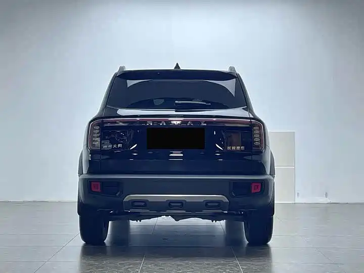 Haval Big Dog 2024 Model 1.5T DCT Labrador Edition фото 8
