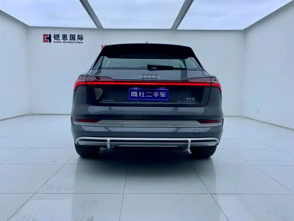 Audi e-tron 2021 50 quattro Luxury фото 4