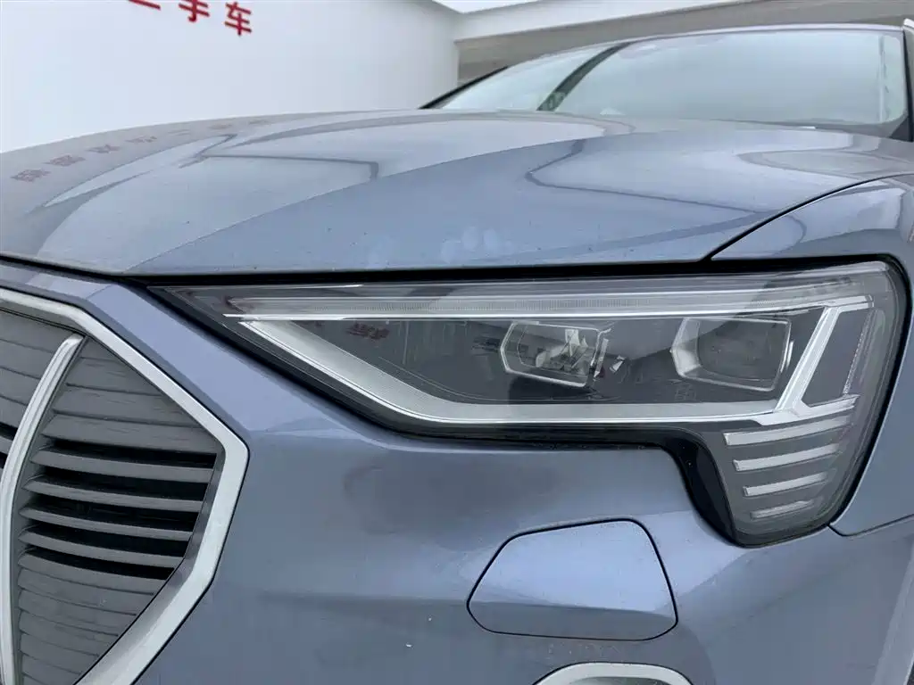 Audi e-tron 2021 50 quattro Luxury фото 8