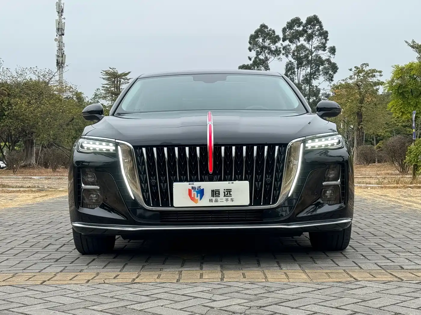 Hongqi H5 2024 1.5T DCT Smart Connect Flag Rhythm Edition фото 2