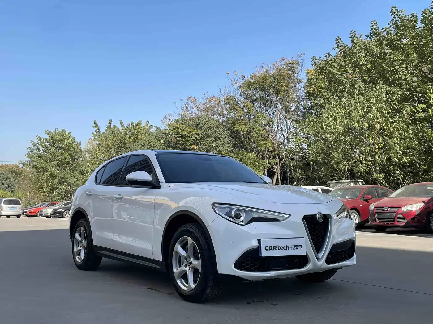 Alfa Romeo Stelvio 2019 2017 2.0T 200HP Elite