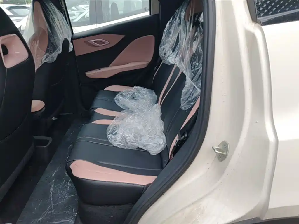 BYD Seagull 2025 Smart Drive Edition 305km Vitality Version фото 17