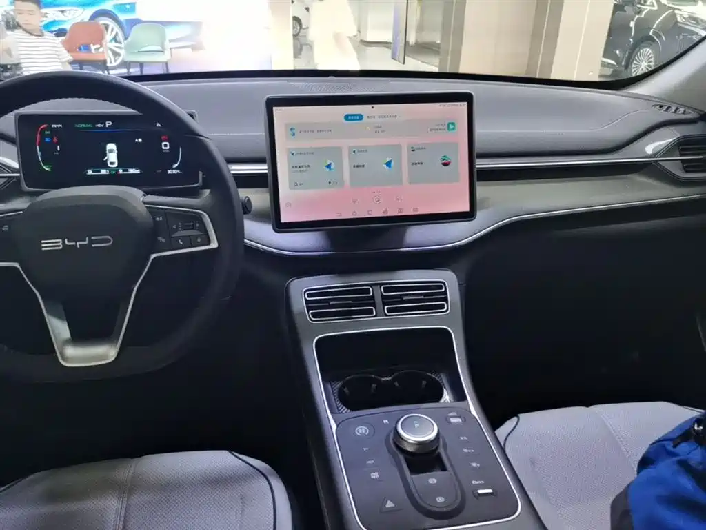 BYD Destroyer 05 2024 Glory Edition DM-i 55KM Luxury фото 13