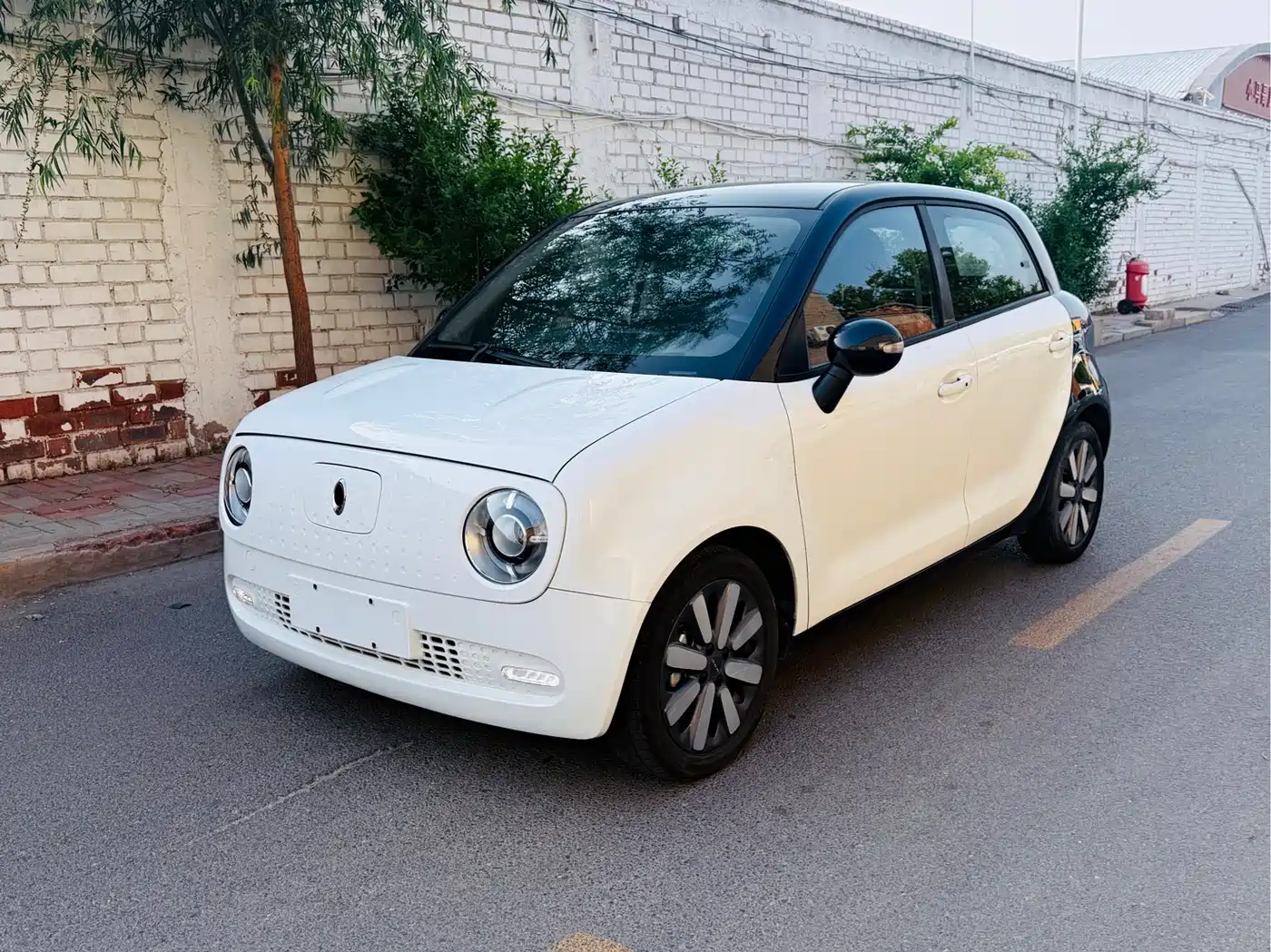 Ora Black Cat 2019 351km Goddess Edition