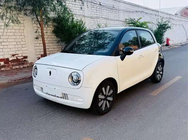  Ora Ora Black Cat 2019 351km Goddess Edition