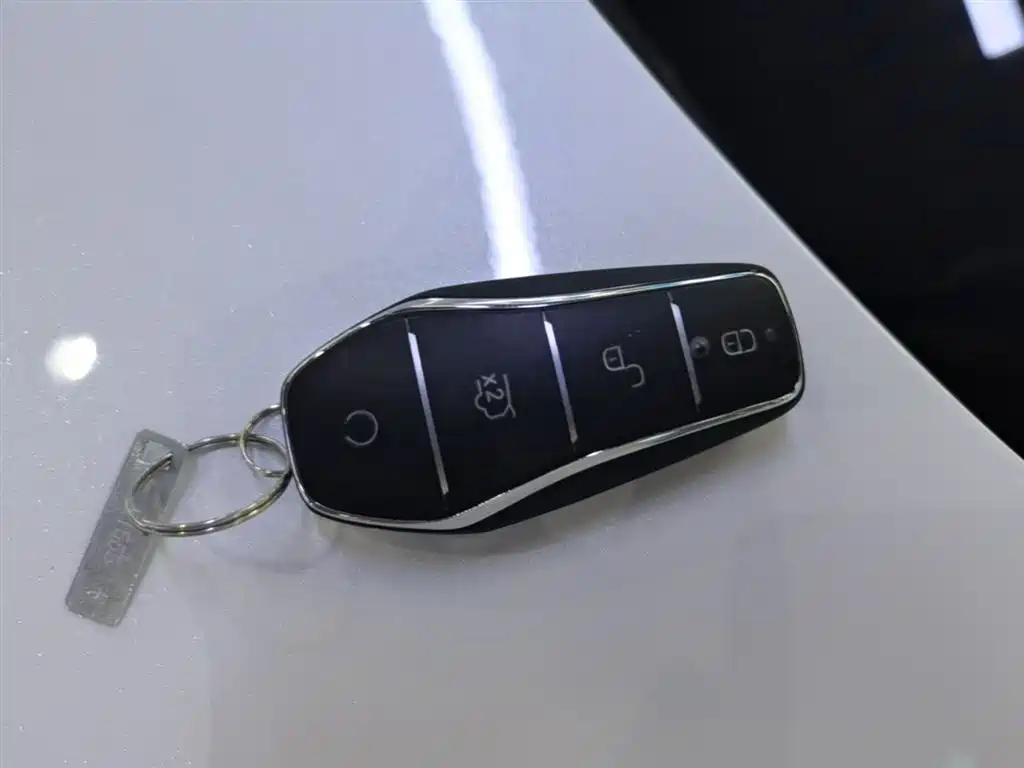 BYD Destroyer 05 2024 Glory Edition DM-i 55KM Luxury фото 9