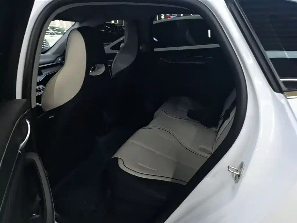 BYD Destroyer 05 2024 Glory Edition DM-i 55KM Luxury фото 17
