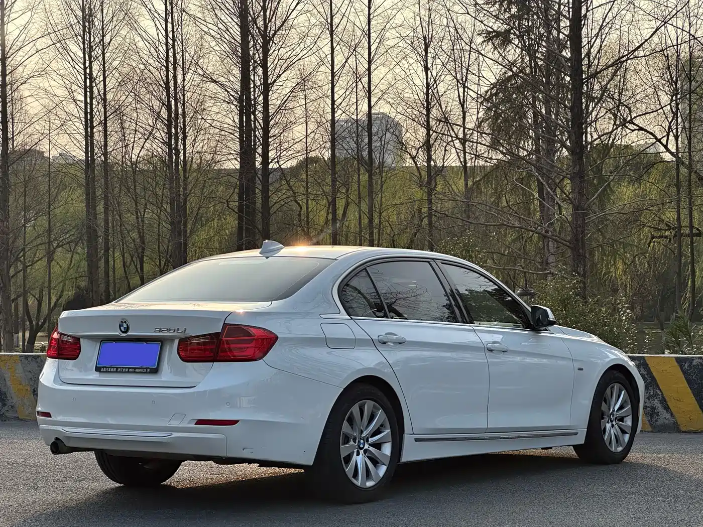BMW 3 Series 2014 320Li Style Design Package фото 21