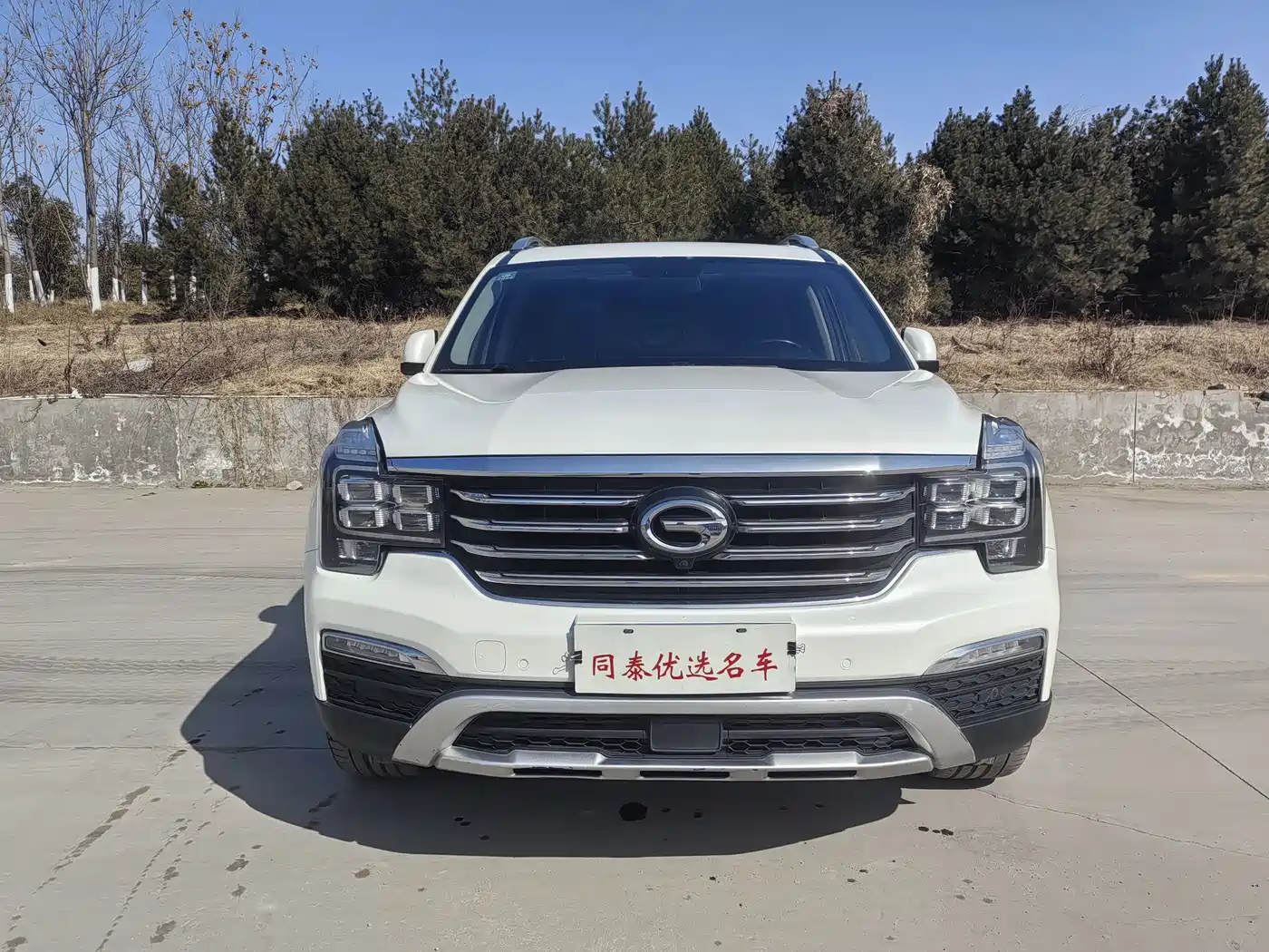 GAC Trumpchi Trumpchi GS8 2017 320T AWD Luxury Smart Connect (7-Seater) фото 2
