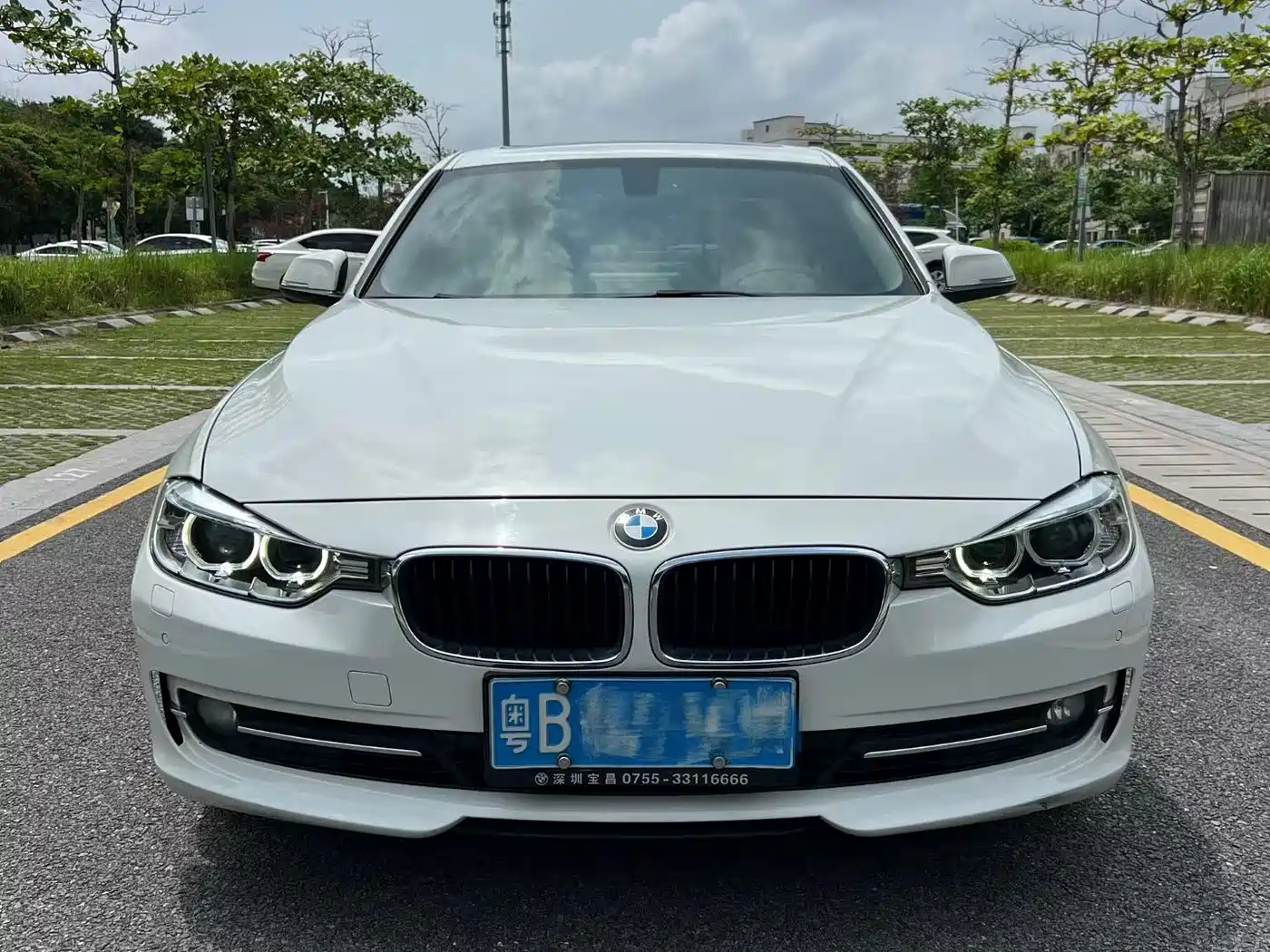 BMW 3 Series 2015 316Li Fashion