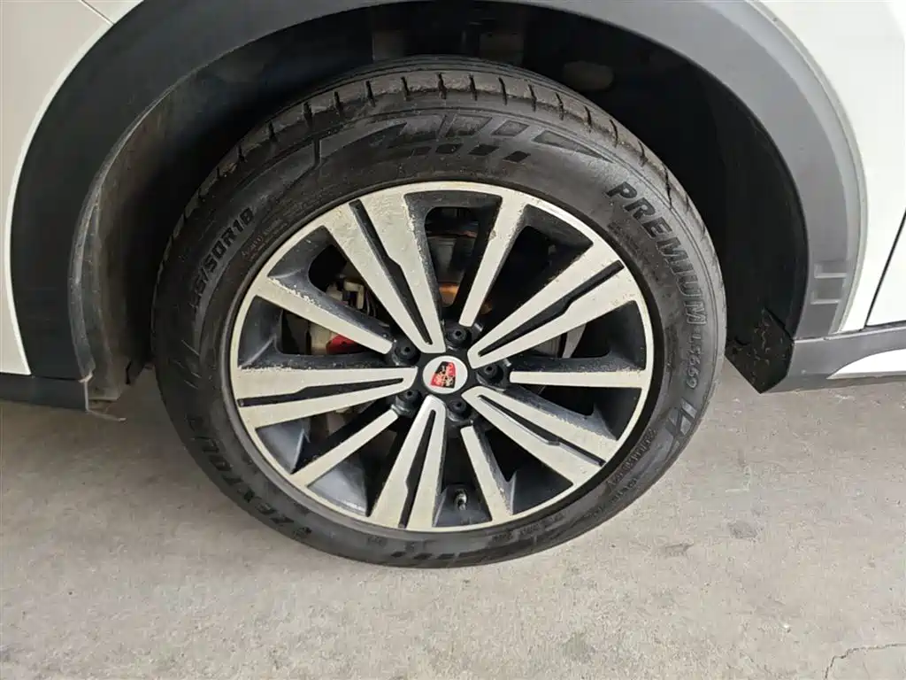 Фото 23 - Roewe RX5