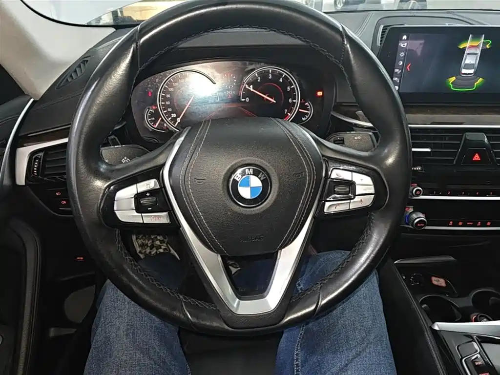 BMW 5 Series 2018 525Li Luxury Package фото 11