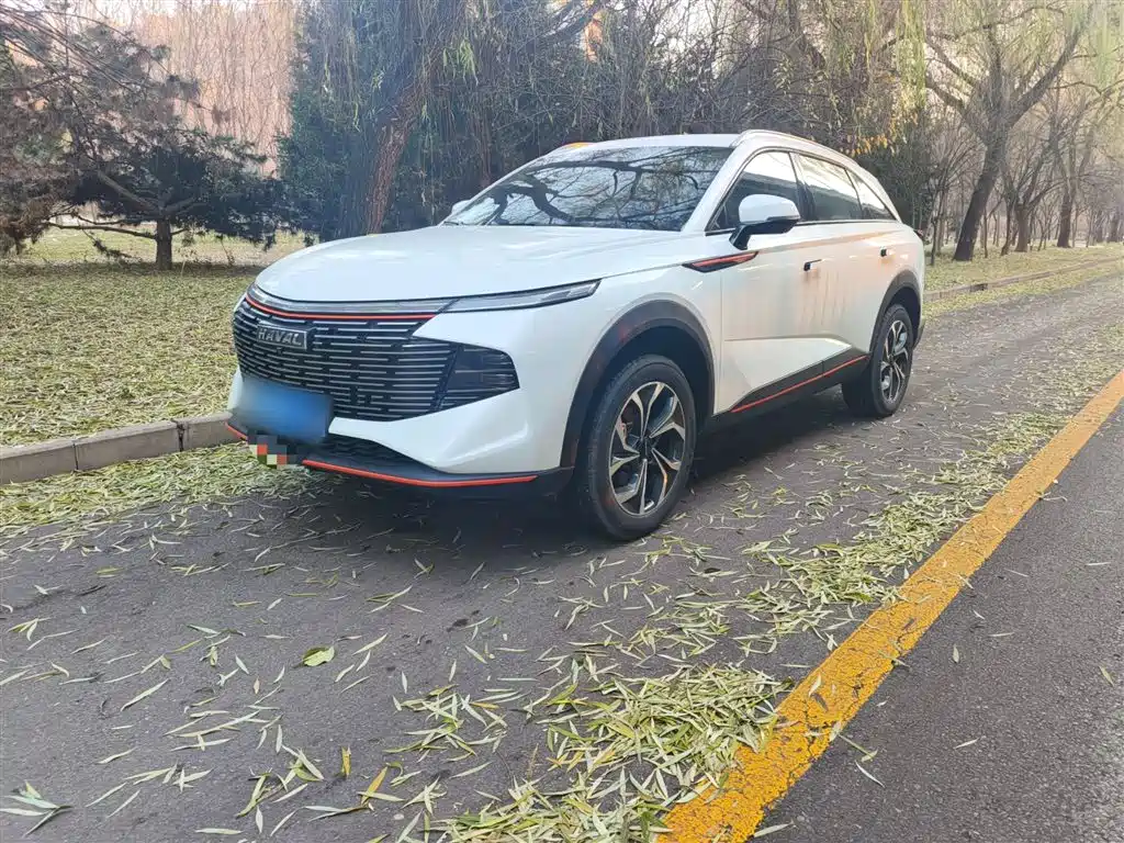 Haval Shenshou 2023 1.5T Smart Enjoy Edition фото 2