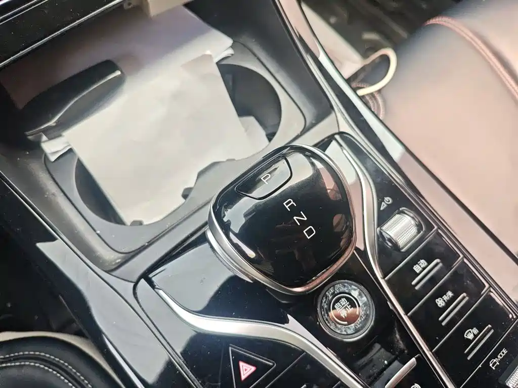 BYD Qin PLUS 2021 DM-i 55KM Premium фото 10