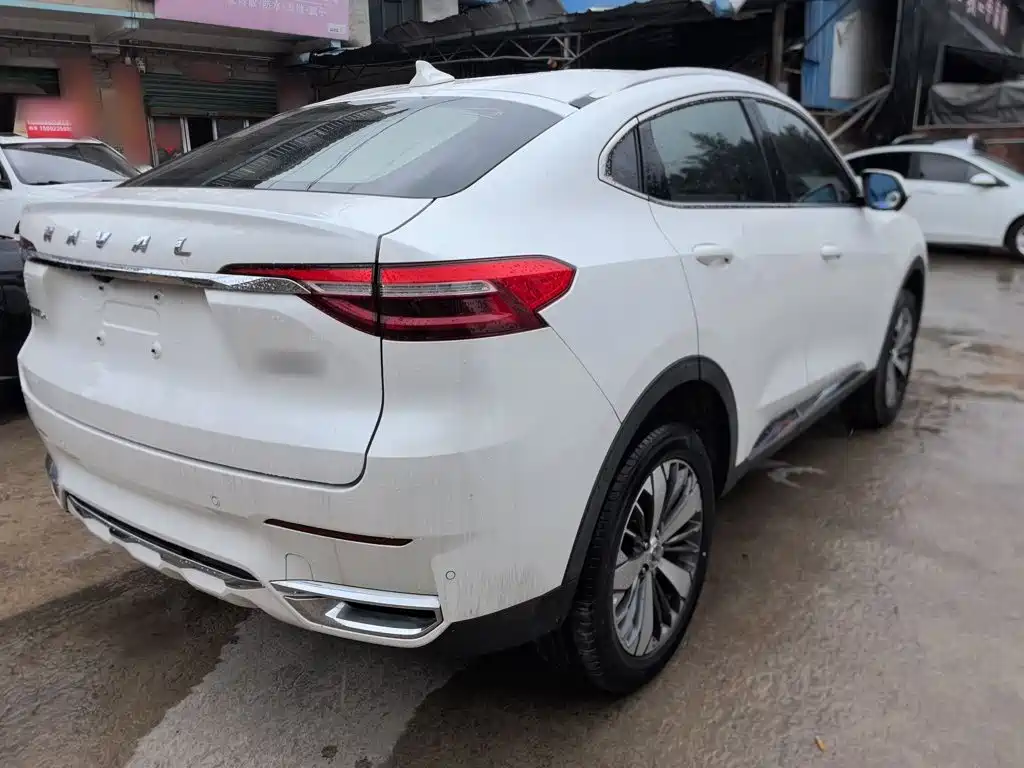 Фото 7 - Haval F7x