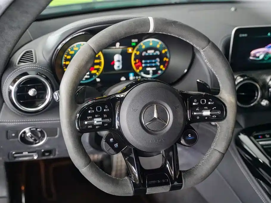 Mercedes-Benz AMG GT 2019 AMG GT R PRO фото 21