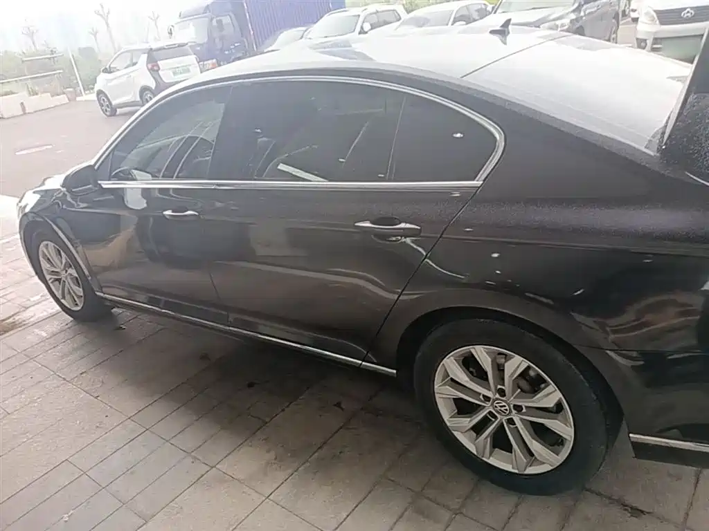 Volkswagen Magotan 2019 330TSI DSG Luxury China V фото 5