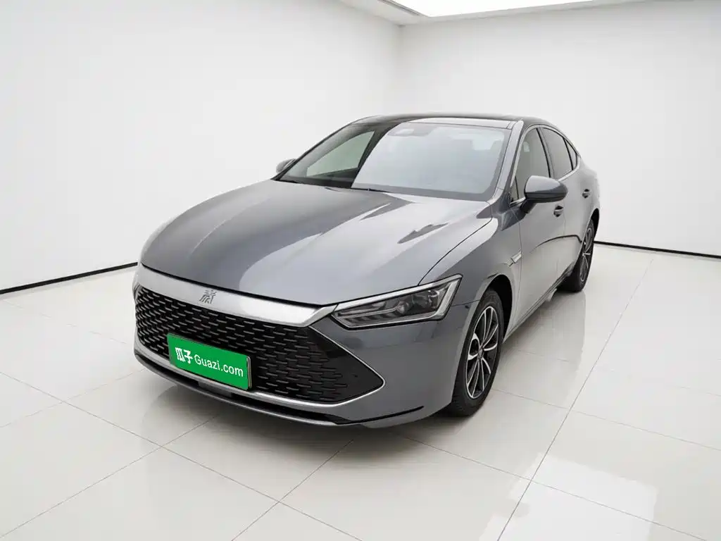 BYD Qin PLUS 2024 Glory Edition DM-i 55KM Leading